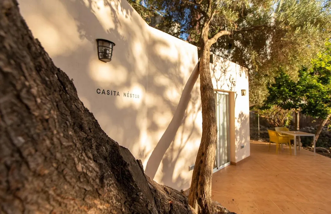 Villa Nestor-1