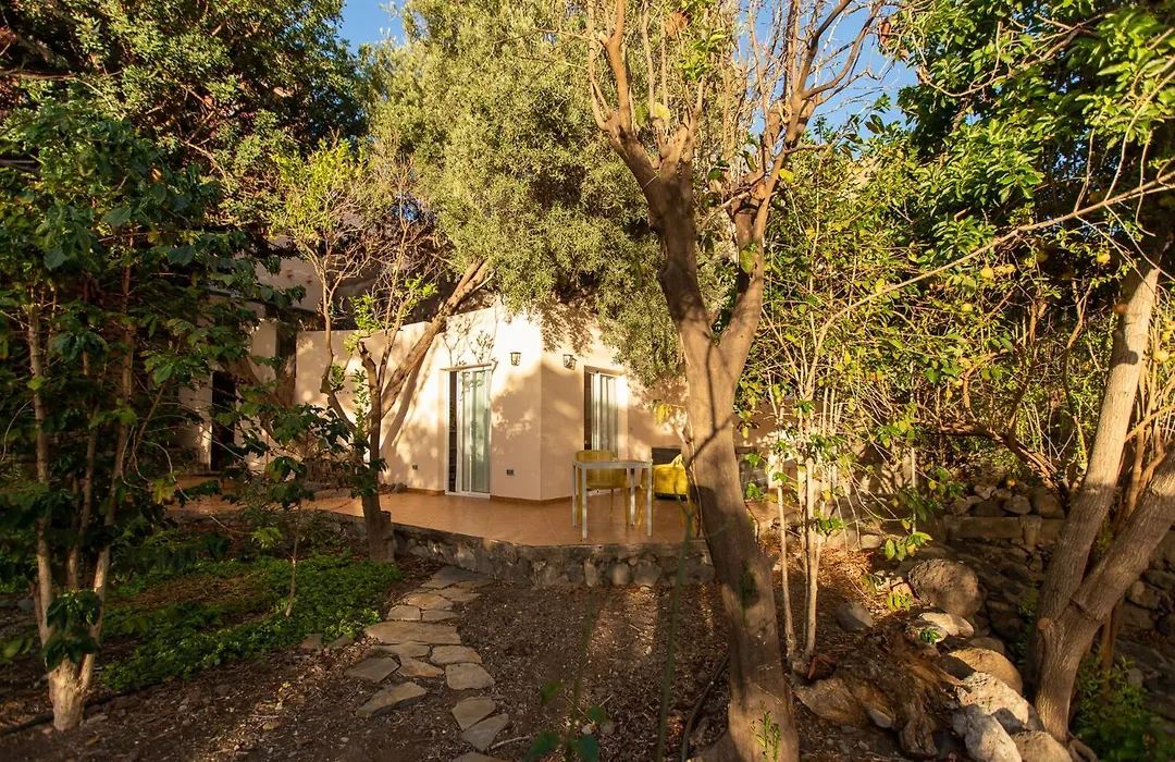 Villa Nestor-1